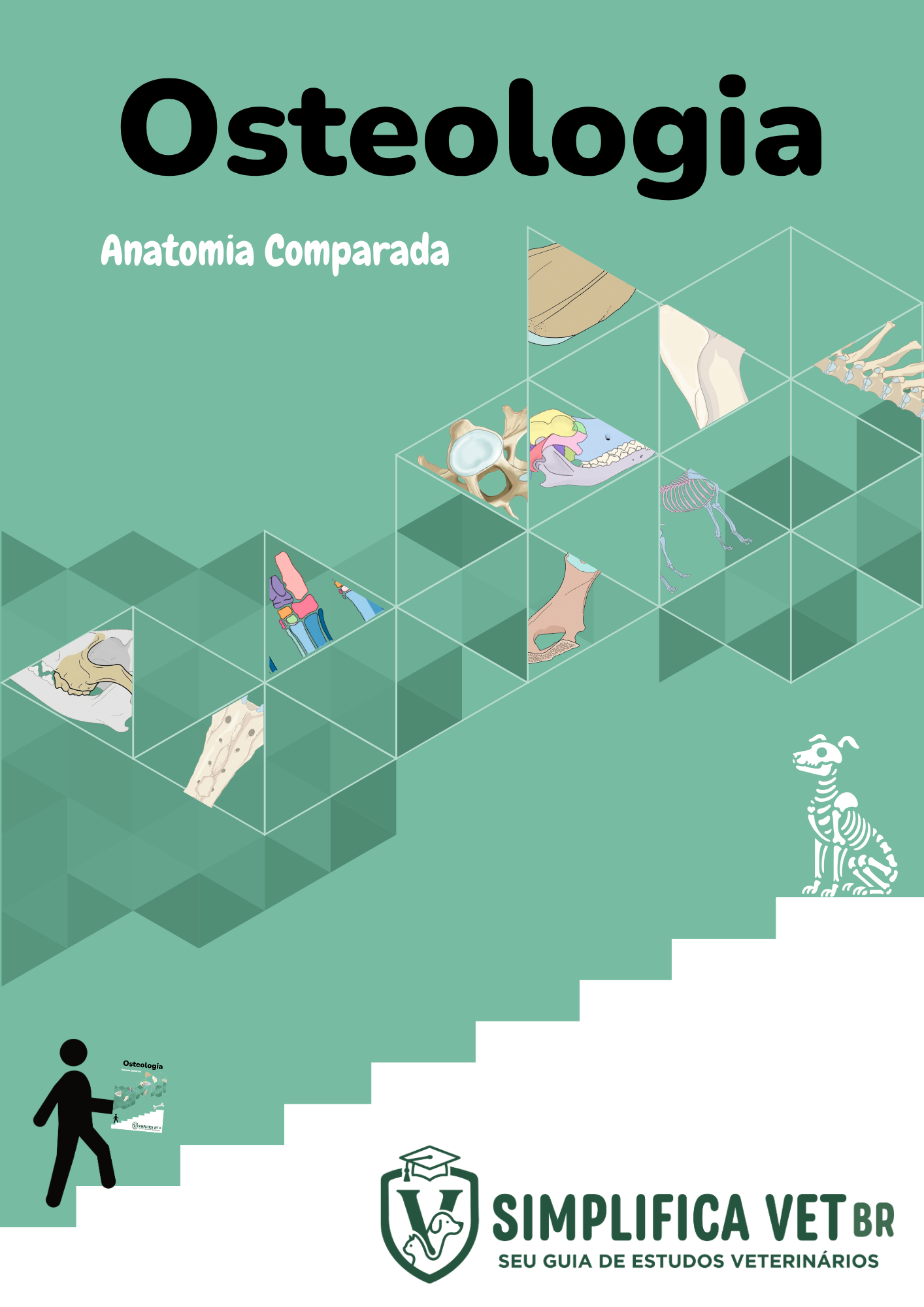 Capa Osteologia