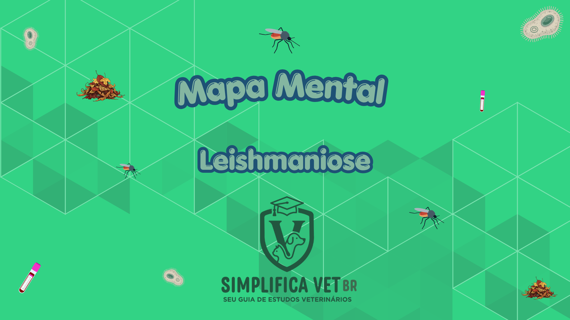 Capa Leishmaniose