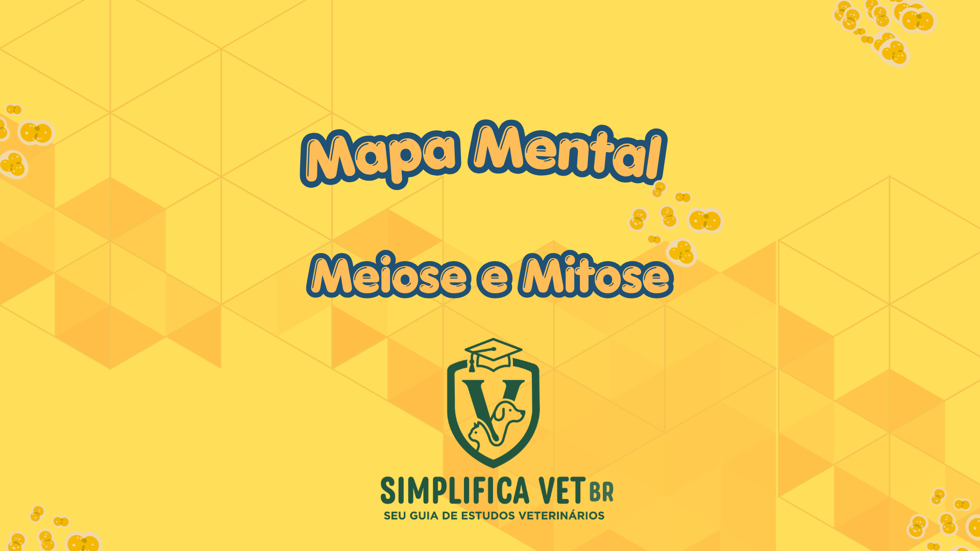 Capa Meiose & Mitose