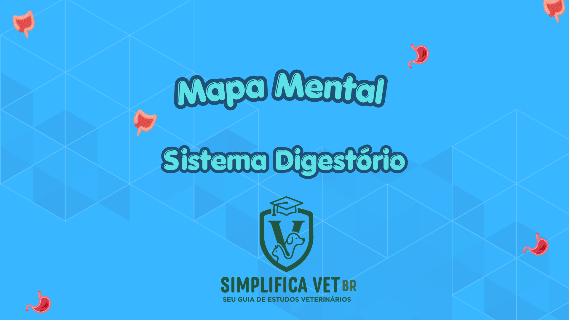 Capa Sistema Digestório