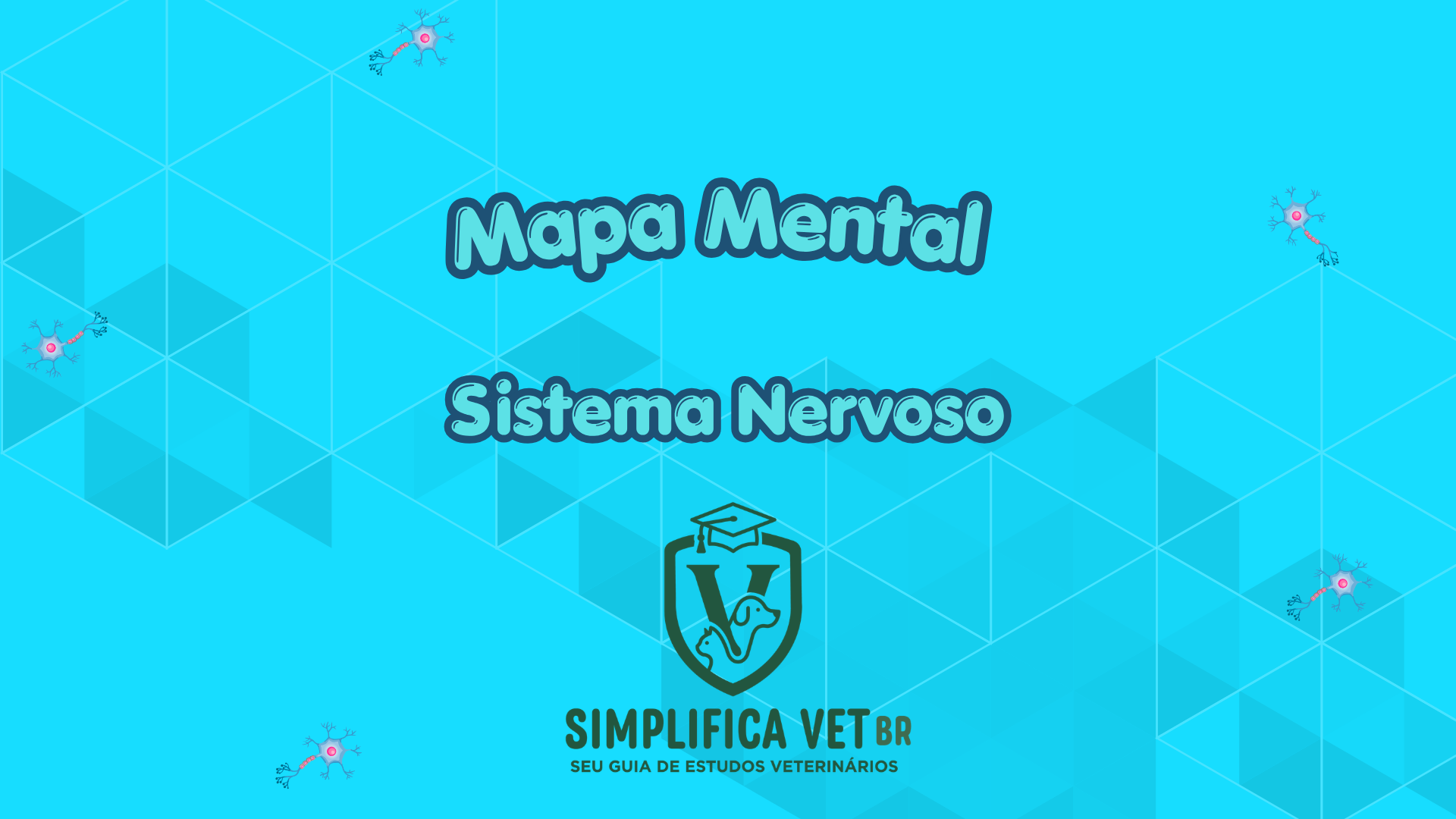 Capa Sistema Nervoso