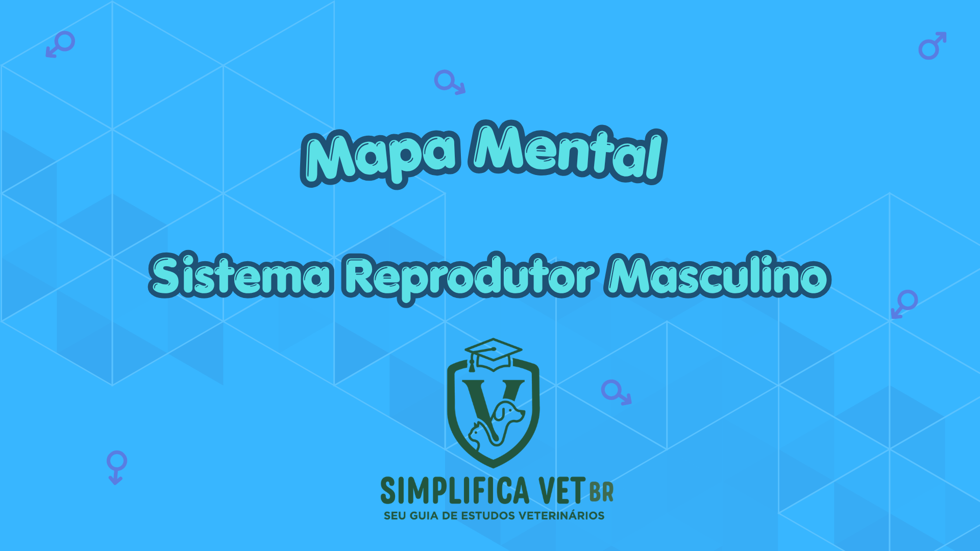 Capa Sistema Reprodutor Masculino
