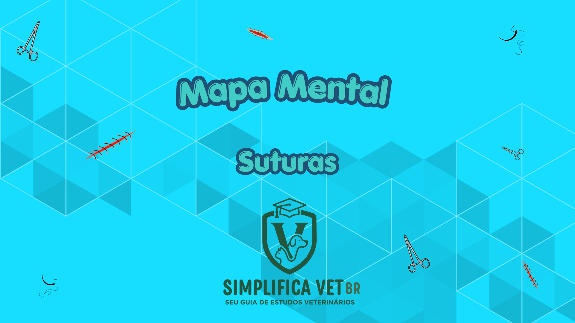 Capa Suturas
