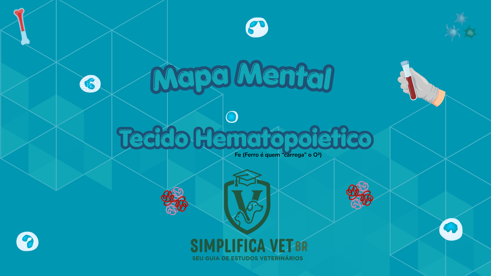 Capa Tecido Hematopoietico